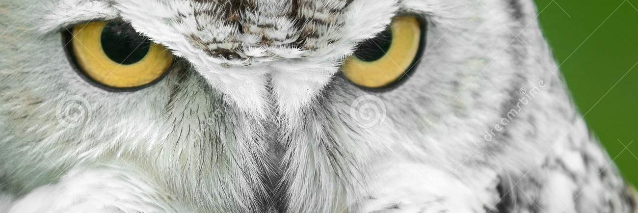Jcaarlos01's profile banner image