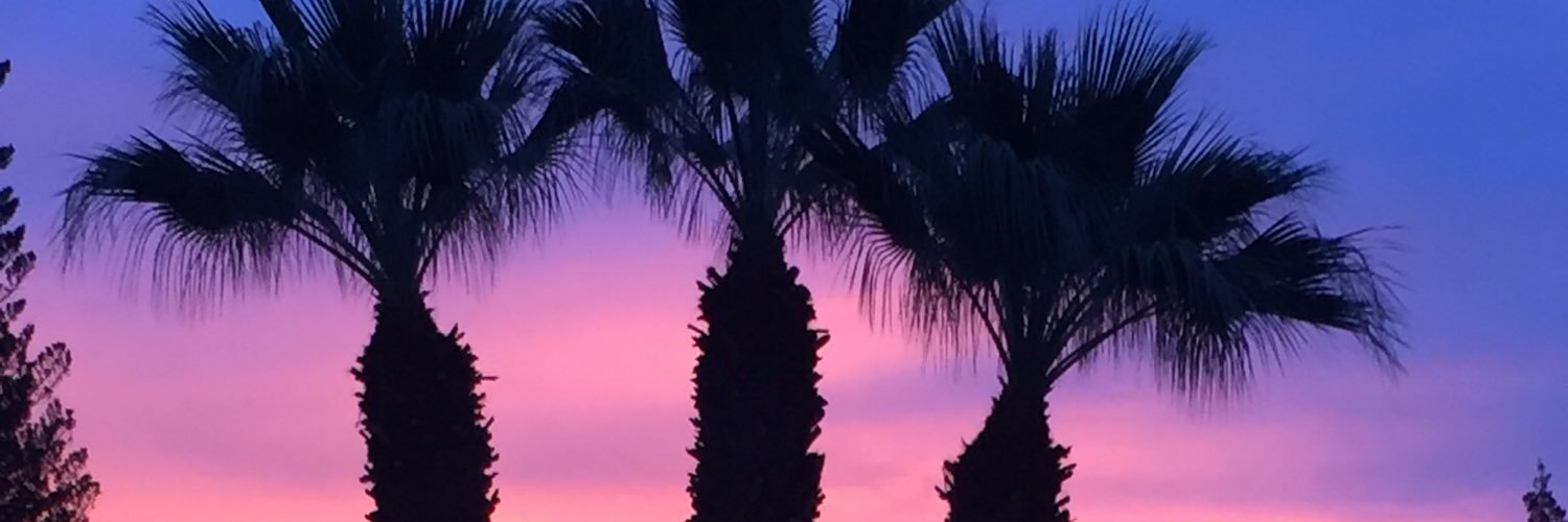 Dan Pokett banner