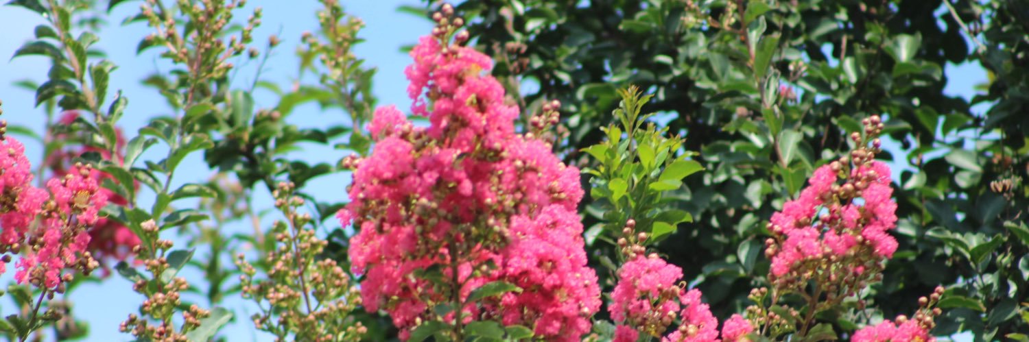 mal_beck's profile banner image