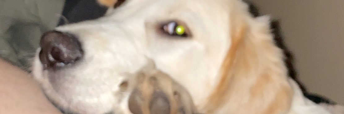 MarkBooone's profile banner image