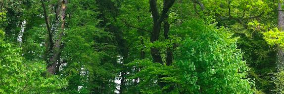 GreenfocusComm's profile banner image