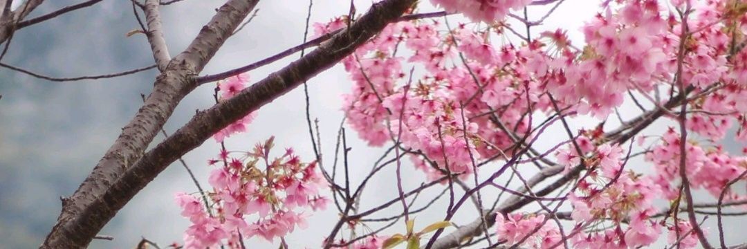 _nata_24_'s profile banner image