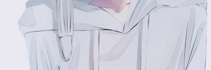 Maricela castro mend banner