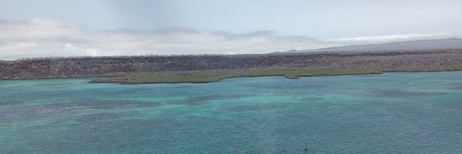 lapiedradelshoe's profile banner image