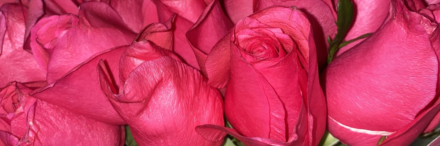 vanessaamtz's profile banner image