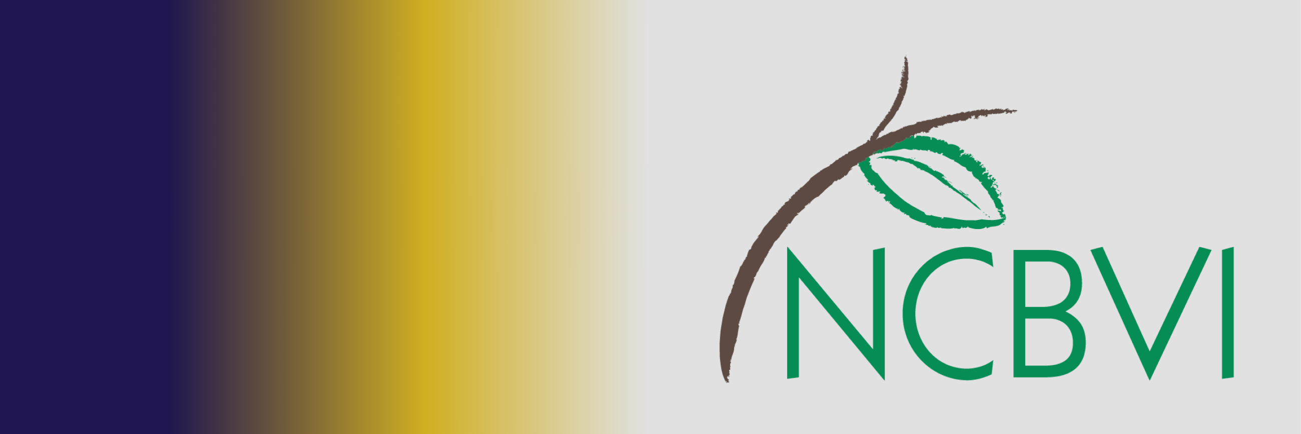 NCBVI banner