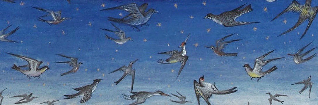 Lucinda Bonghole 🇵🇸 banner