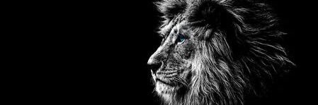 Asma_Dabbour's profile banner image