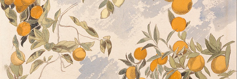 itsangie_bb's profile banner image