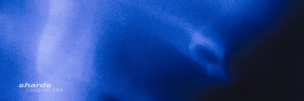 shardsshards Profile Banner