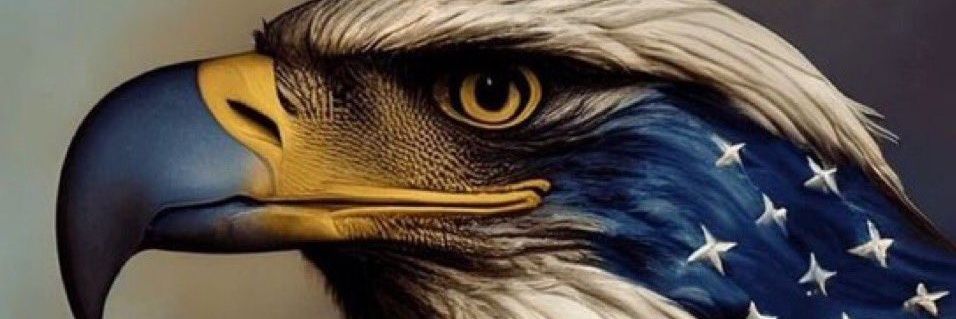 nresp1's profile banner image