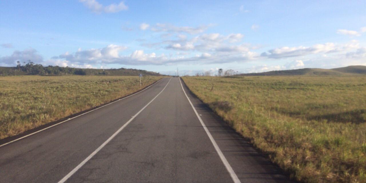 elizabeth sterling v (e) banner