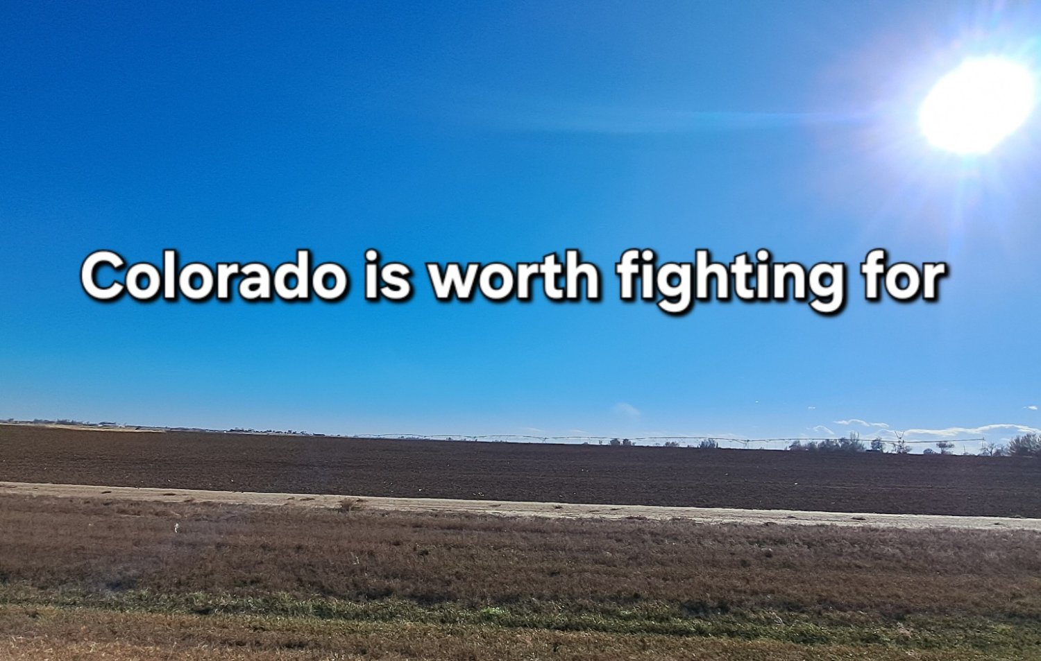 Brandon Wark banner