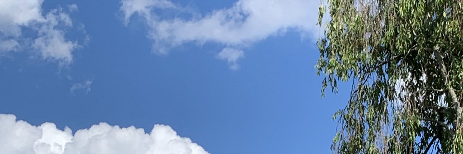 NP banner
