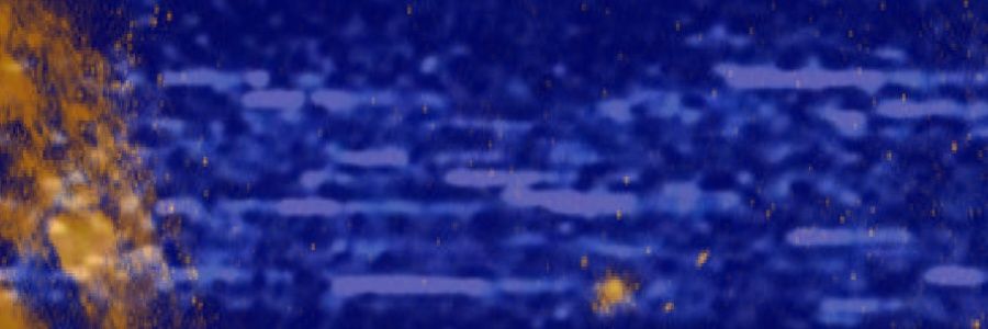 bleddemigirl's profile banner image