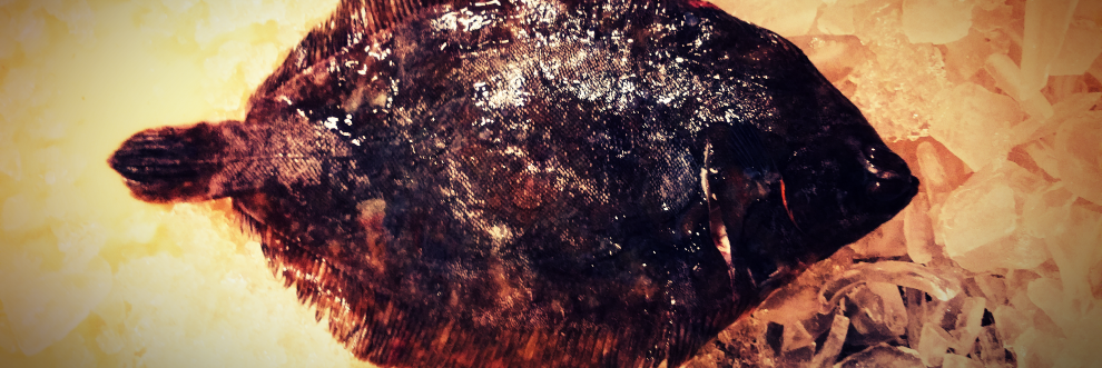 instafish's profile banner image