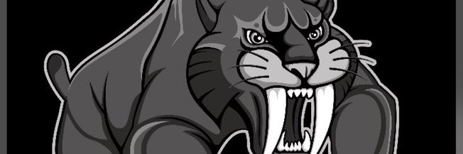 STMSVolleyball's profile banner image