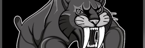 STMSVolleyball Profile Banner