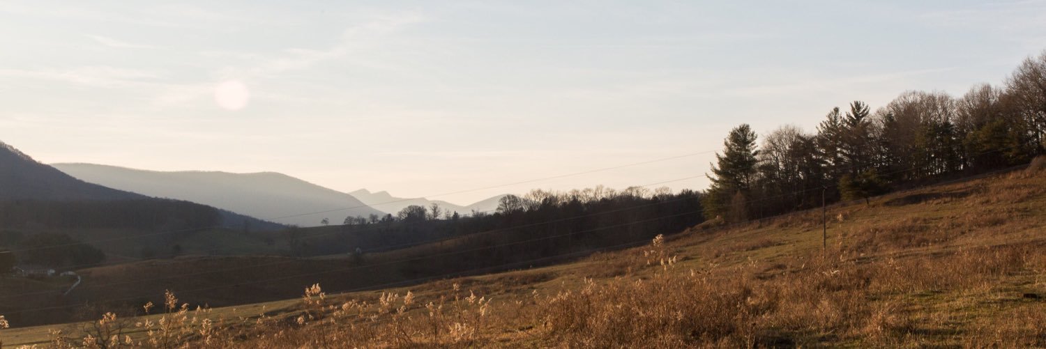 bitandgrain's profile banner image