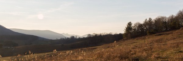 bitandgrain Profile Banner