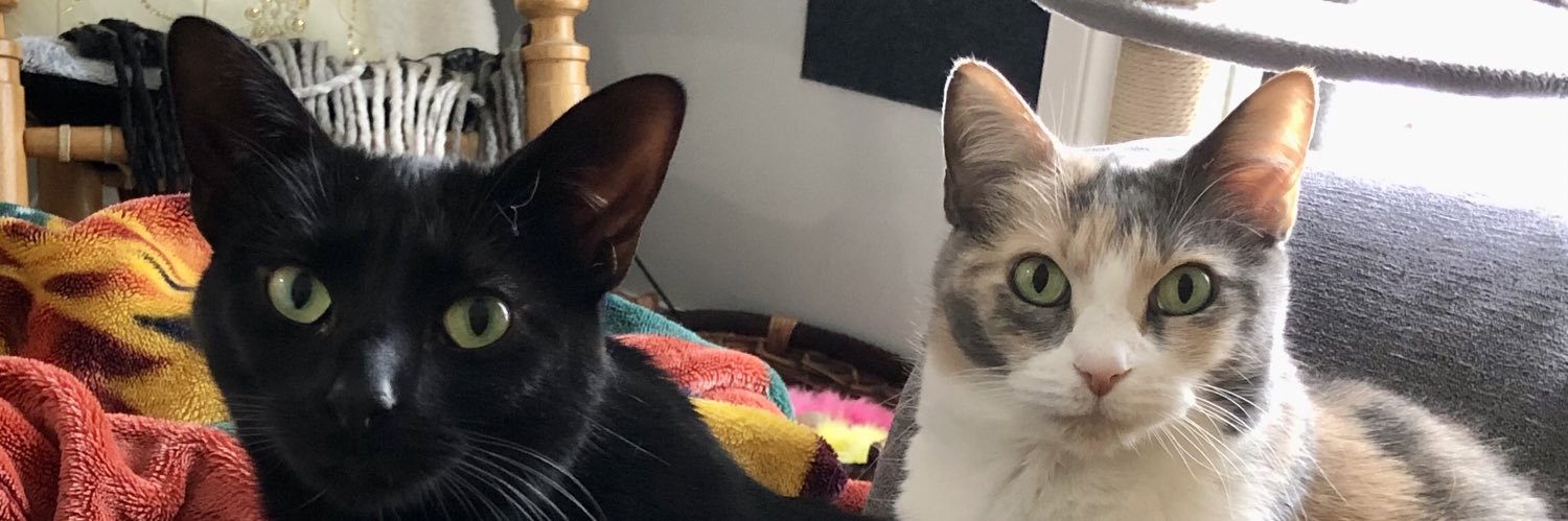 Stéphanie Angers banner