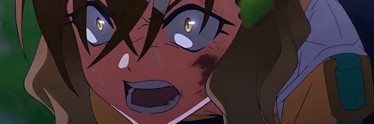 Sogen banner