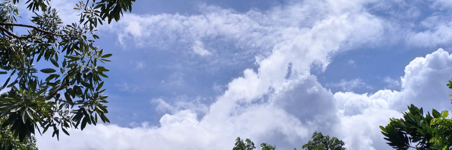 ZBNoona banner