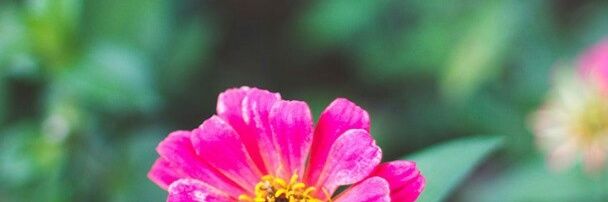 Magui1_c's profile banner image