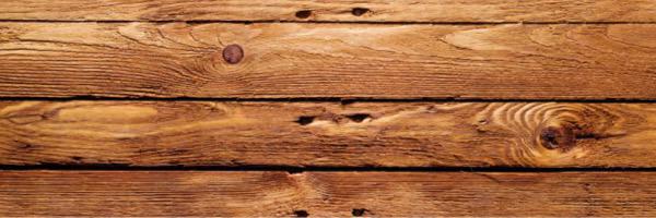 CultivateToday's profile banner image