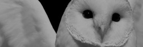 sweetleaaff Profile Banner