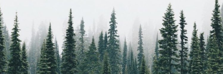 br00kynbridge24's profile banner image