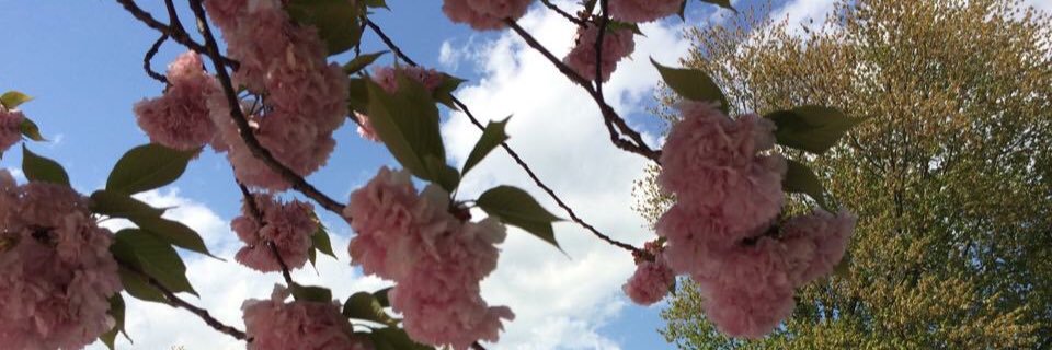 LMouries's profile banner image