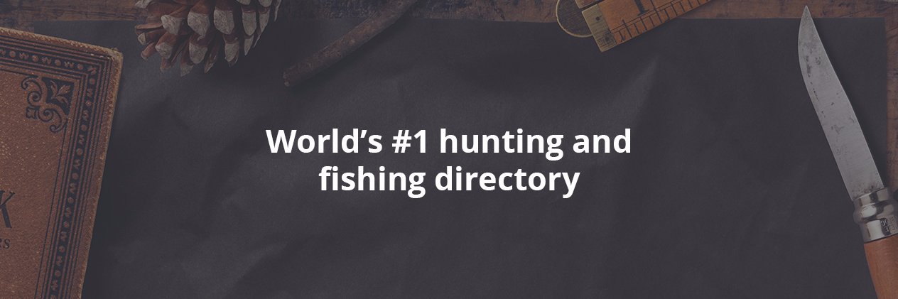 DreamSporting's profile banner image