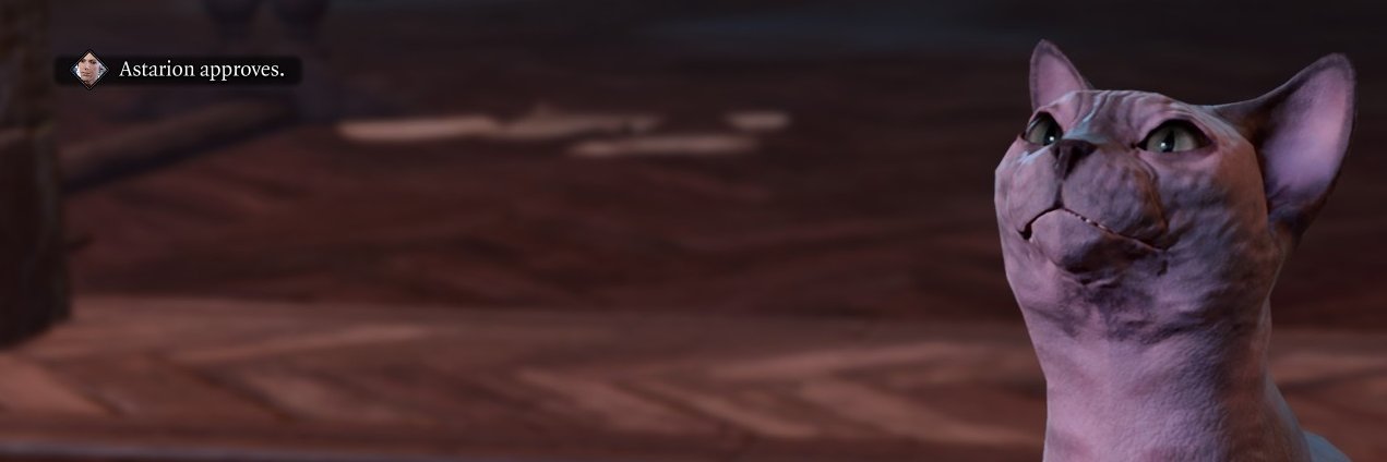 _prettycanary's profile banner image