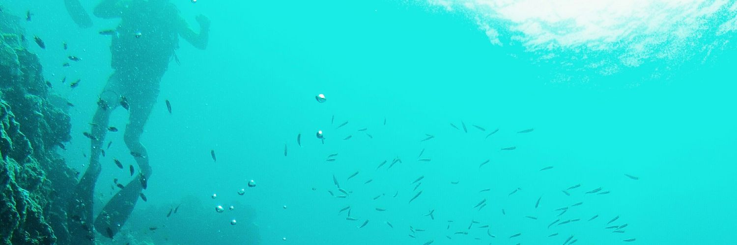 isa_baya's profile banner image