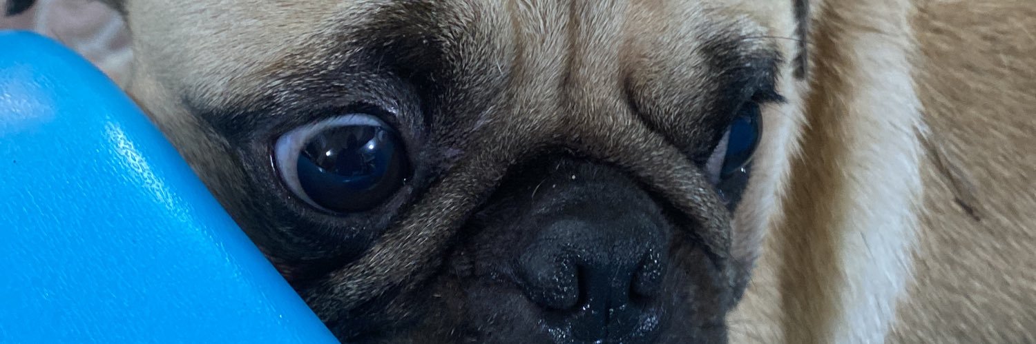Vanessavergarar's profile banner image