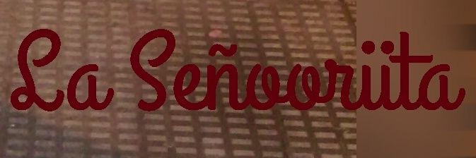GypsySiempre's profile banner image