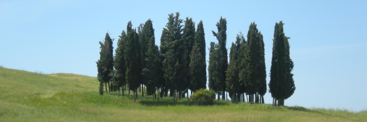 DonChecco's profile banner image