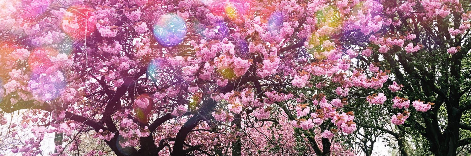 AmberRose13_'s profile banner image
