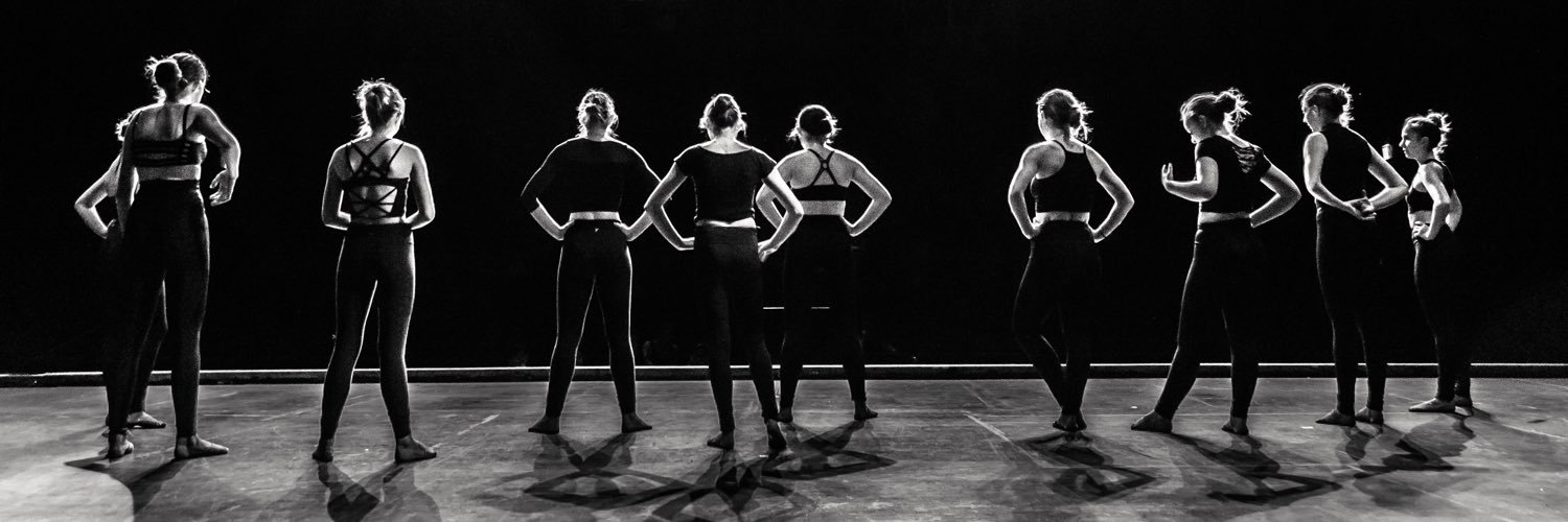 RISE Dance Co. banner