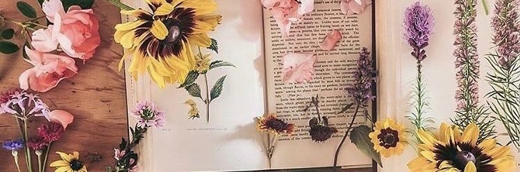 andreamdeangelo's profile banner image