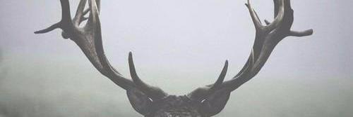 GDJFV_'s profile banner image