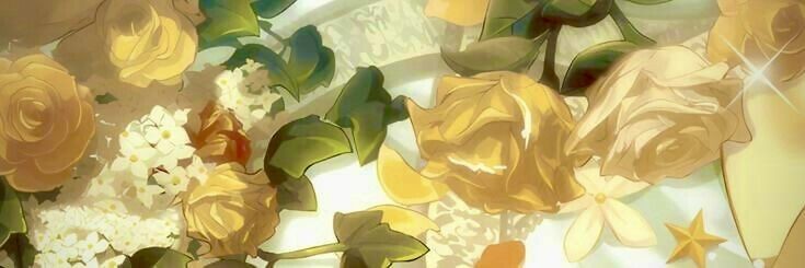 fabi_bafi's profile banner image