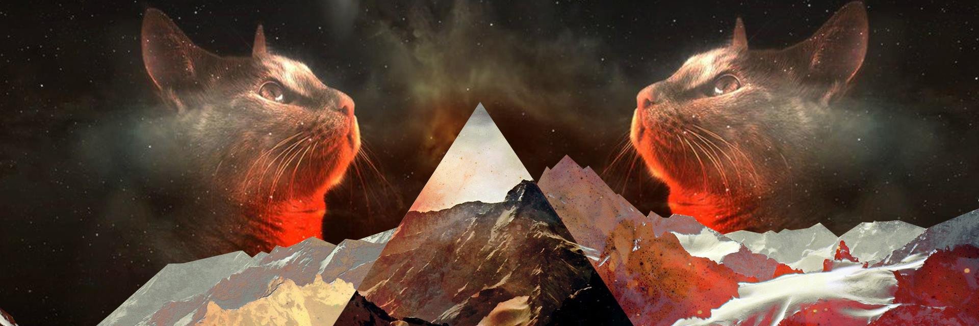 Dlbblitz's profile banner image
