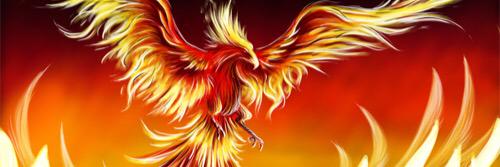 scarce_phoenix's profile banner image