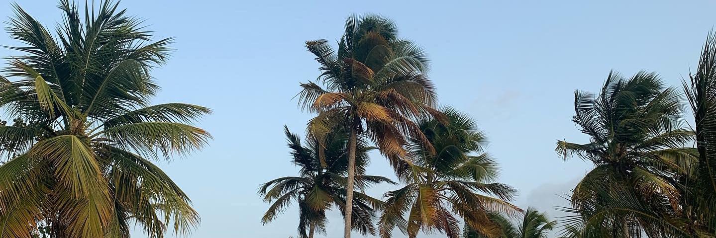 Z A C K A T T A C K banner