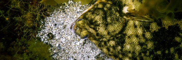 Zmacmillankenny Profile Banner