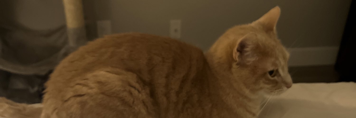 theseaofmooses's profile banner image