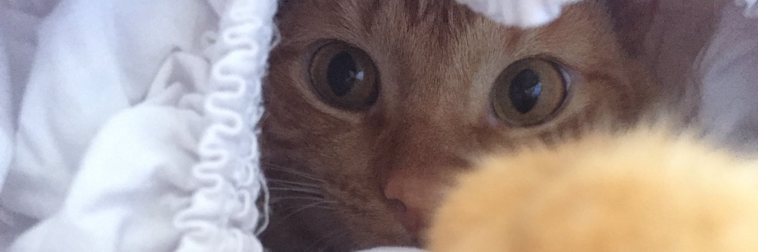 FallOutBedussey's profile banner image
