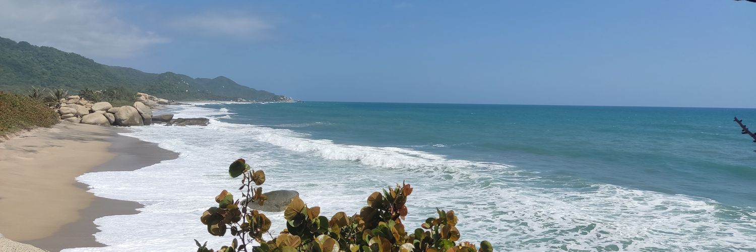 Henry Rodríguez banner